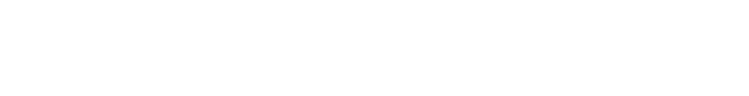 bw西汉姆联